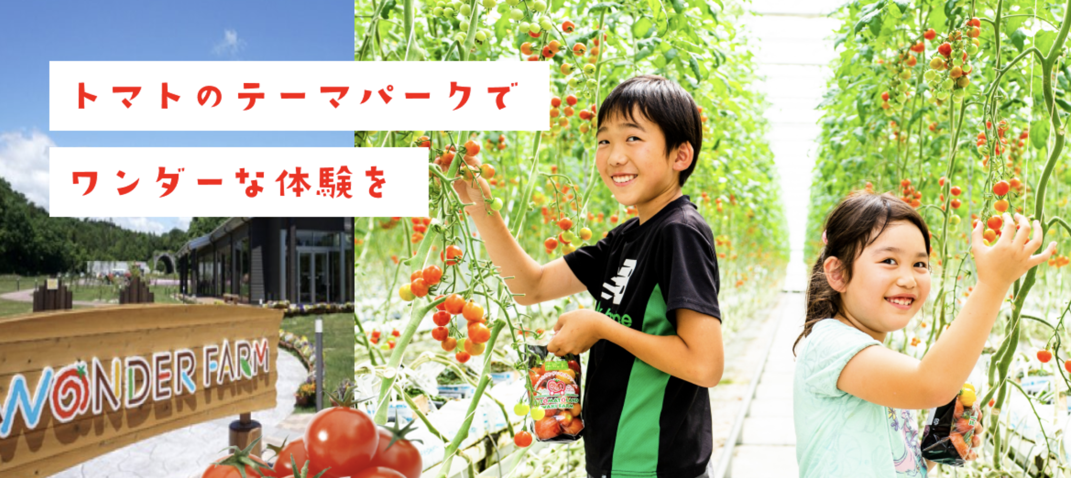 スクリーンショット-2023-04-14-